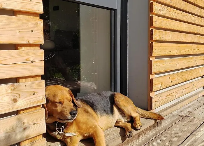 Holiday home Fraluq